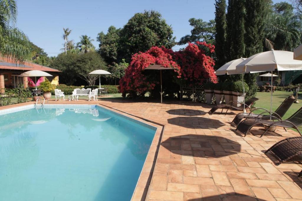 a swimming pool with chairs and umbrellas at Hotel Pousada Chalé das Flores in Sertãozinho