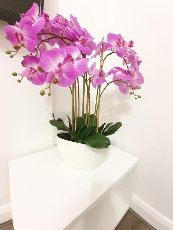 Manchester Holiday Apartment - 两居室公寓