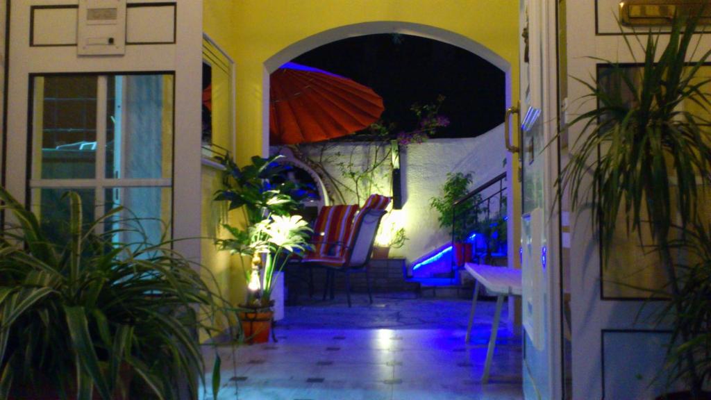 Zahrada ubytování Hotel Petunia