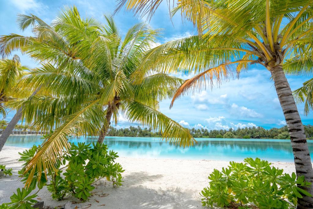 Rahaa Resort Maldives - View 9
