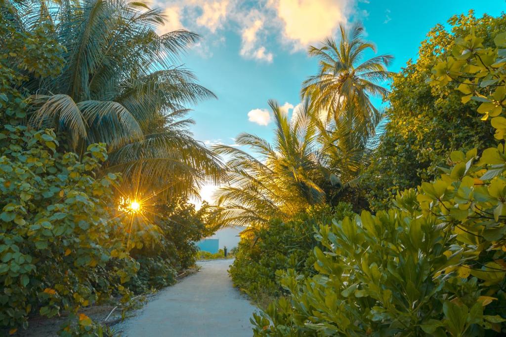 Zahrada ubytování Rahaa Resort Maldives