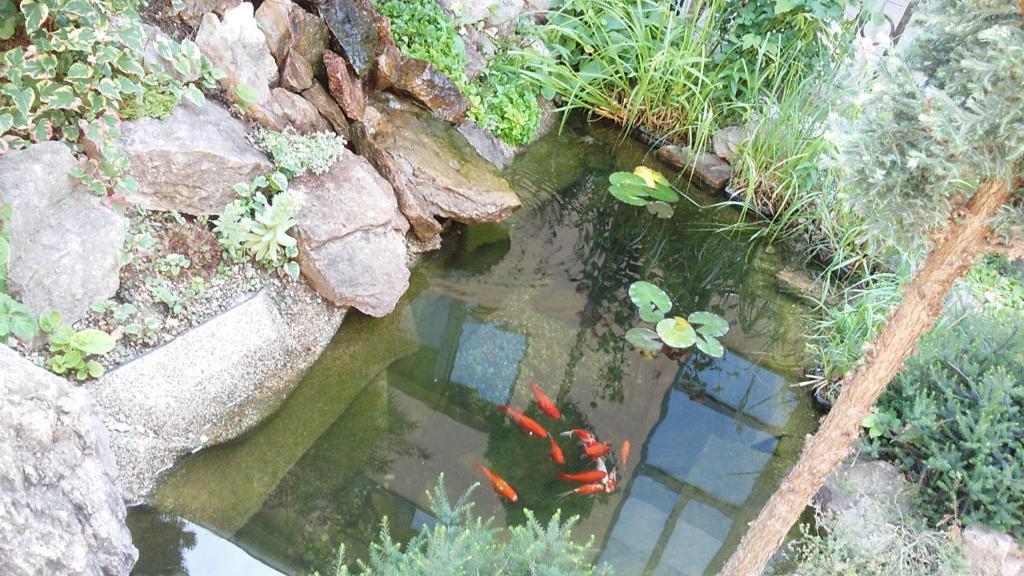 Zahrada ubytování Hotel Litovel