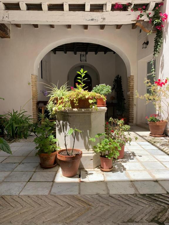Apartamento Hinojo - Ole Solutions, Sanlúcar de Barrameda ...