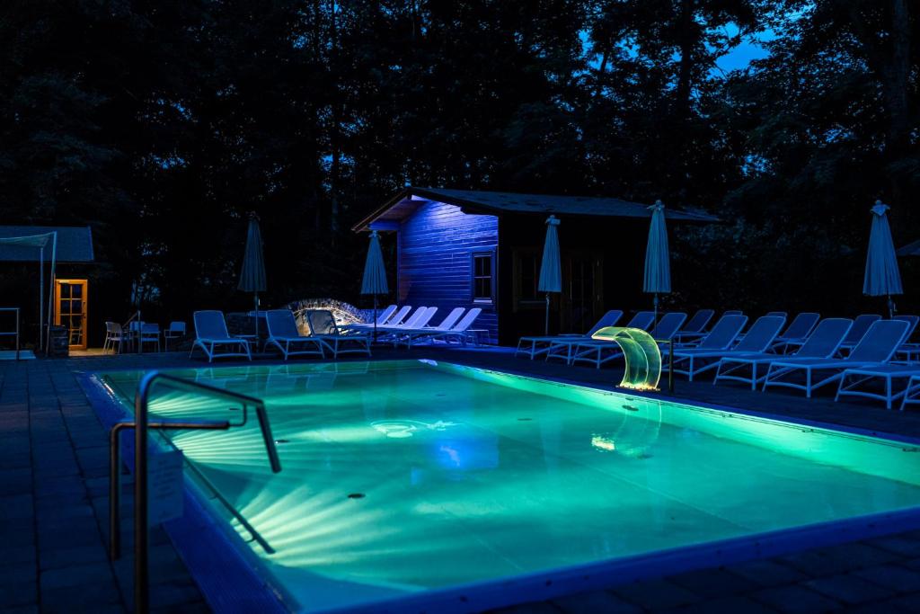 Bazén v ubytování Waldhotel Tannenhäuschen nebo v jeho okolí