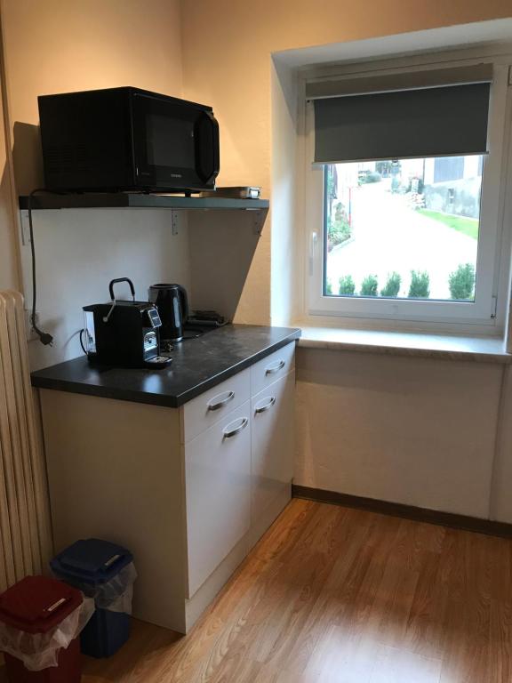 Kuchyň nebo kuchyňský kout v ubytování Sonntagshof Ferienwohnungen Apartments