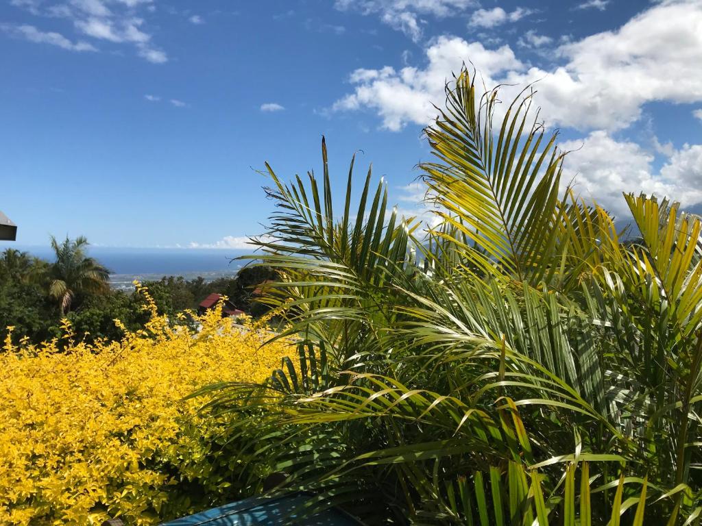 Plumeria holidays - 度假屋