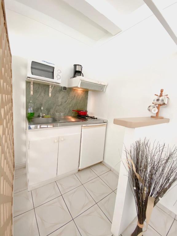 Kuchyň nebo kuchyňský kout v ubytování Hotel Oasis