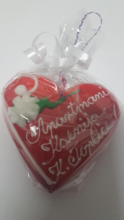 APARTMANI KSENIJA - 13