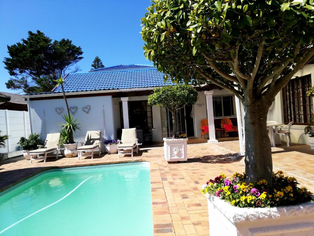 a swimming pool with a tree in a yard at Dolphin Inn Blouberg in Bloubergstrand