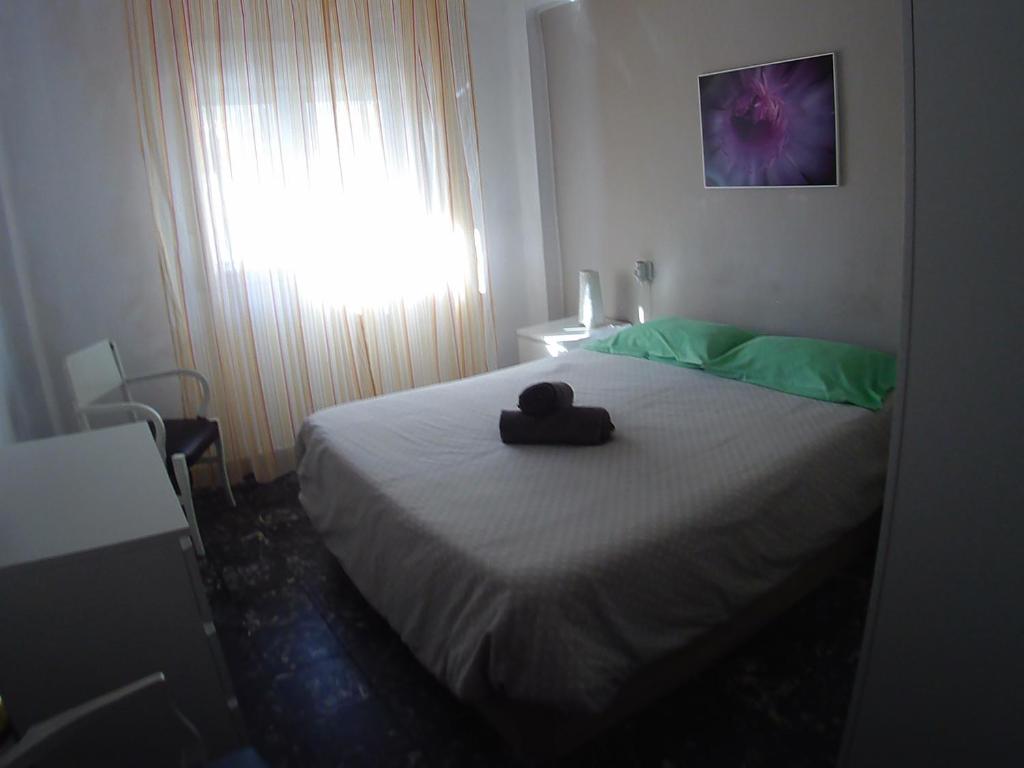 La casita de Pepe - piso compartido, Valencia – Bijgewerkte ...