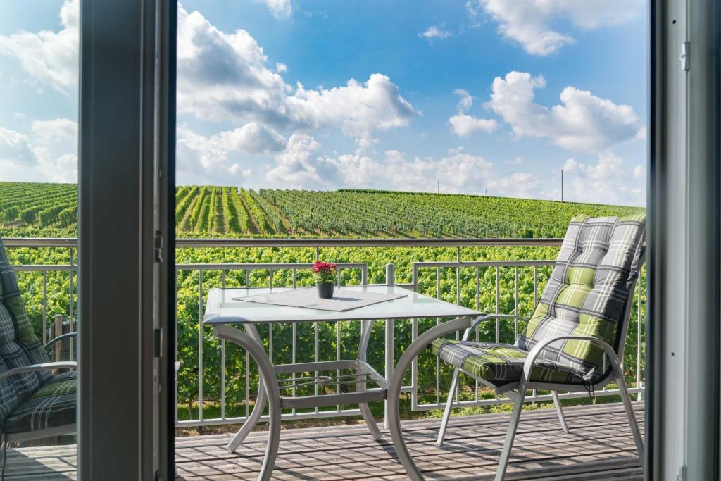 a patio with a table and chairs and a view of a vineyard at Winzerhof Schmid in Schwaigern