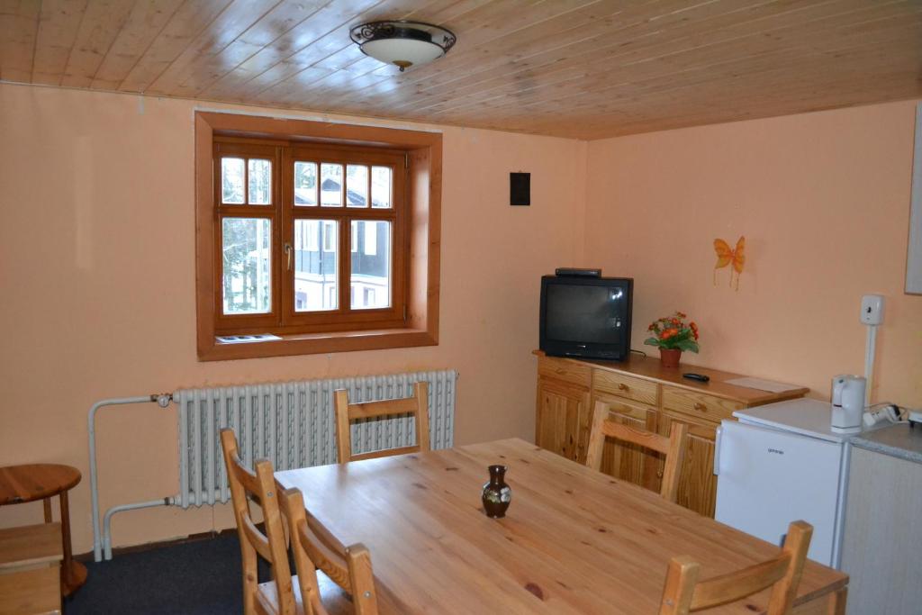 Kuchyň nebo kuchyňský kout v ubytování Penzion U mlýna