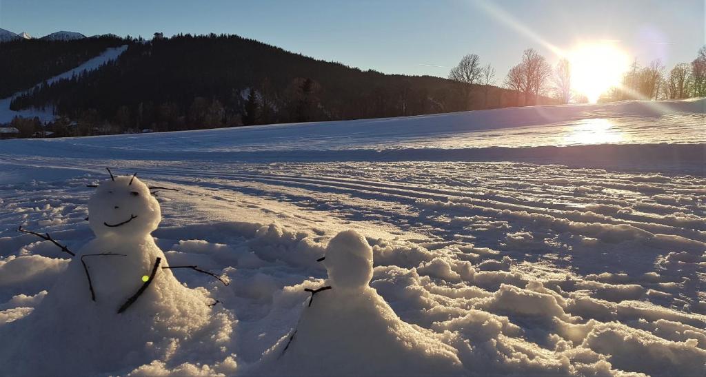 Príroda v okolí hotela