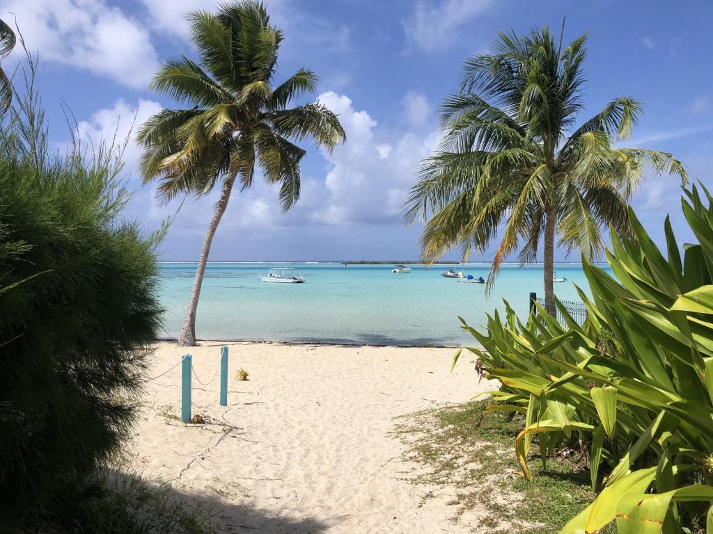 MOOREA - Fare Taina Dream - photo 6 - Moorea, Polynésie