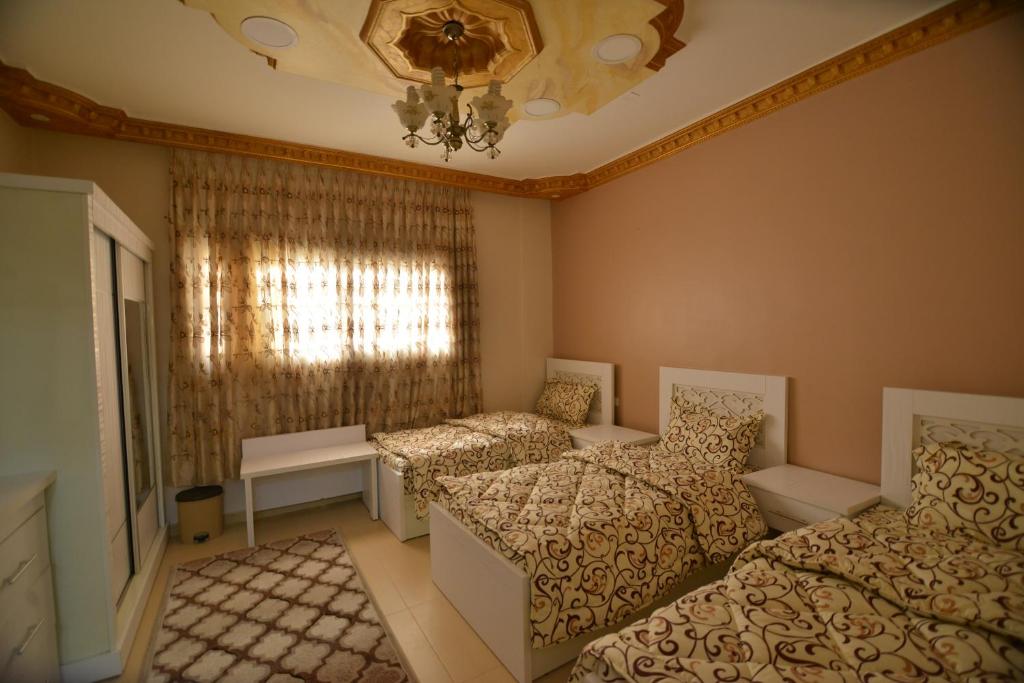 Fotografie z fotogalerie ubytování Juniper House v destinaci Wadi Musa