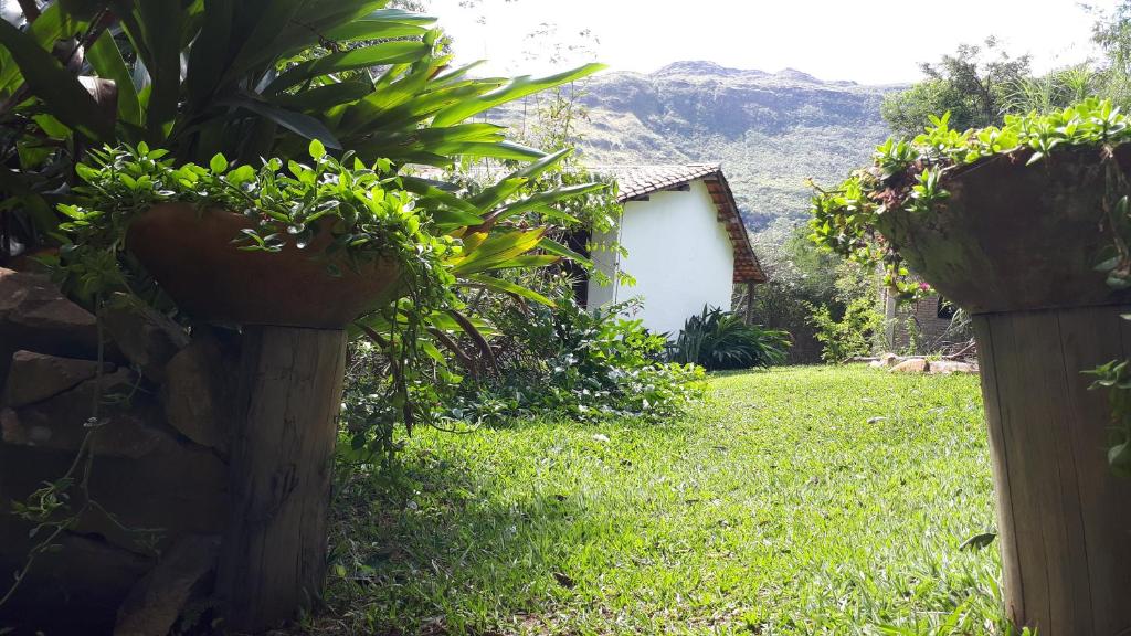 un jardín con dos macetas en un patio en Casa dos Gatos en Vale do Capao