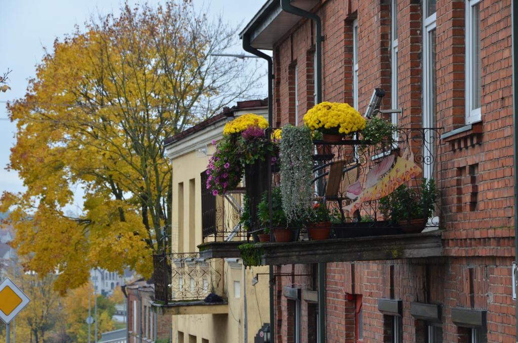 Old Town Apartments - Chambre Double Deluxe