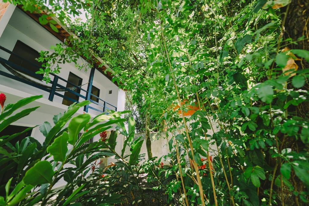Odoyá Apartamentos – Photos 1