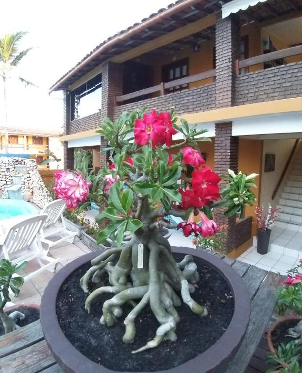  Pousada A Flor da Terra