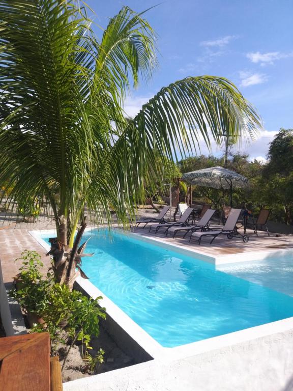 uma piscina com cadeiras e uma palmeira em Mangabeira Logde na Ilha de Boipeba