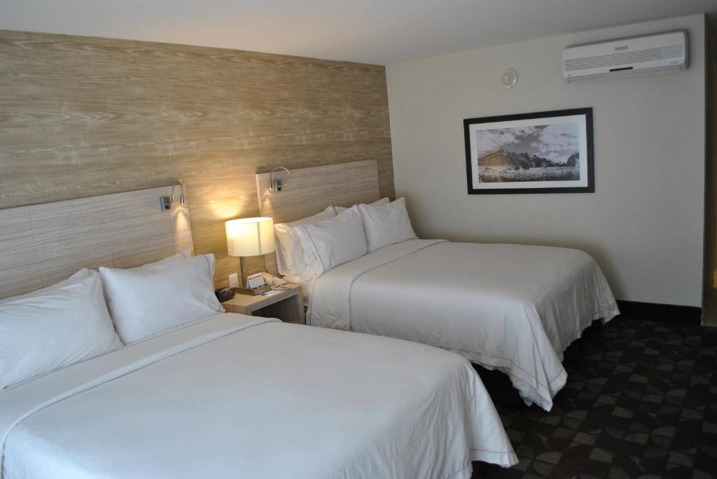 Holiday Inn Express Toluca by IHG - Standard Room - Non-Smoking