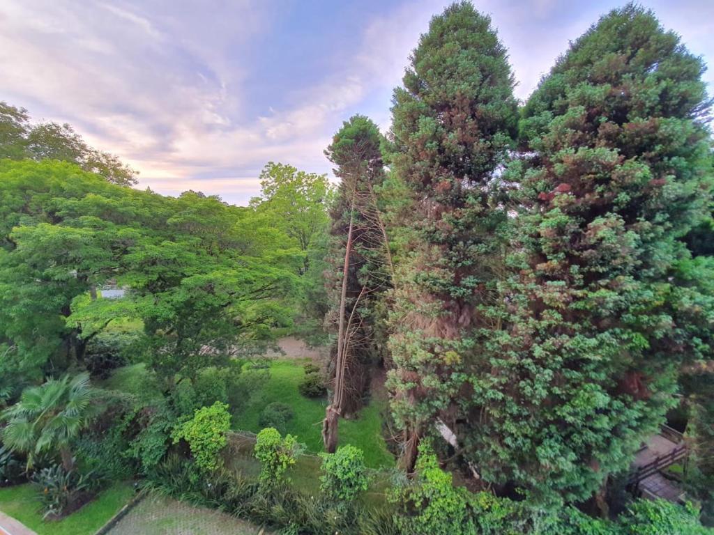 Apto de Luxo Santana da Boa Vista  Apto de Luxo Santana da Boa Vista