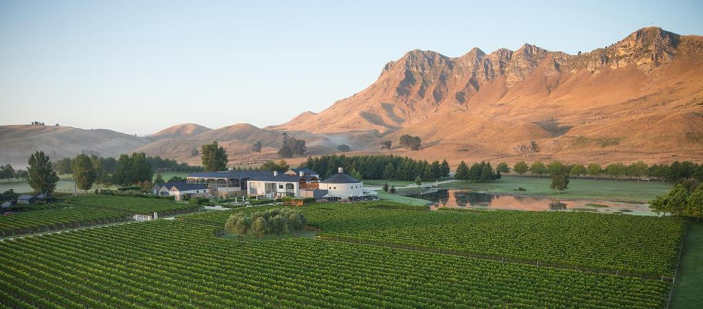 Quest Napier Serviced Apartments - Resim 6