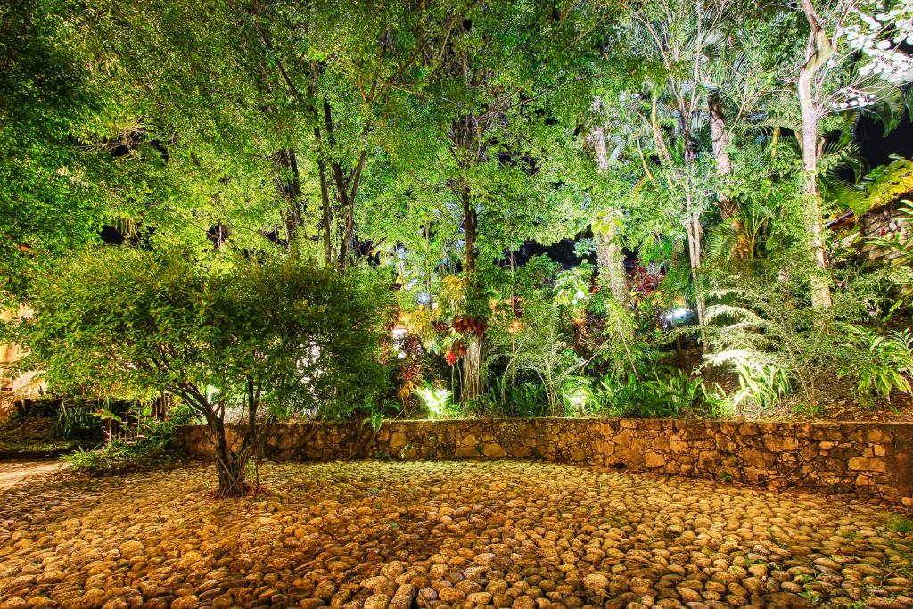 Hotel Ciudad Real Palenque Palenque Aktualisierte Preise Fur 2021