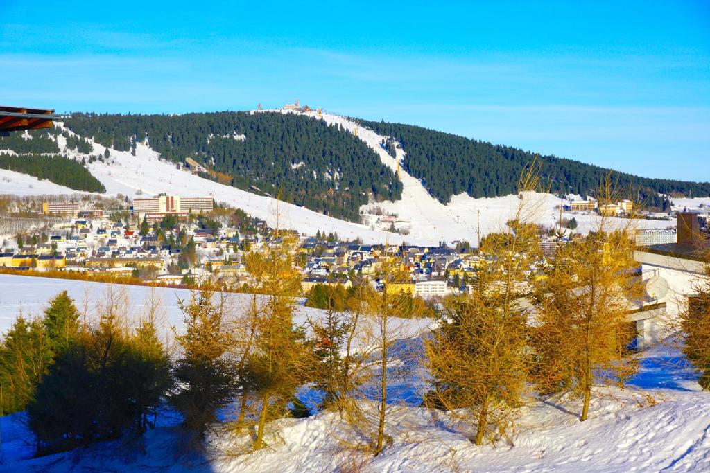 Příroda nedaleko apartmánu