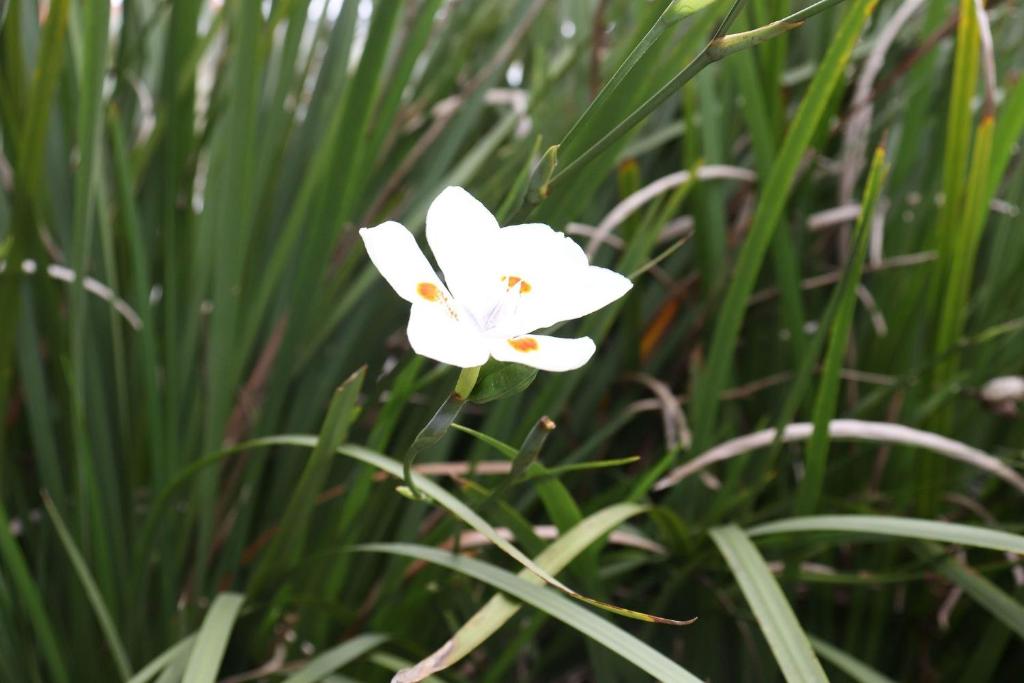  Res. Antonio Pinheiro. Apartamento com 2 dormitórios.