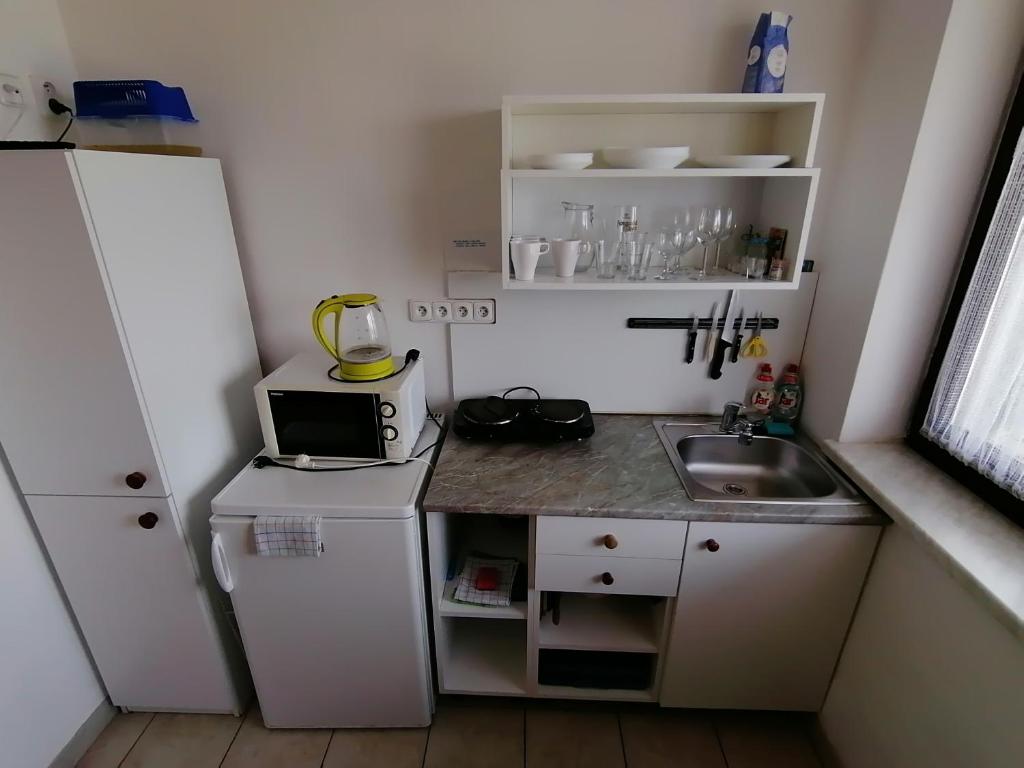 Kuchyň nebo kuchyňský kout v ubytování Penzion Nad jezerem