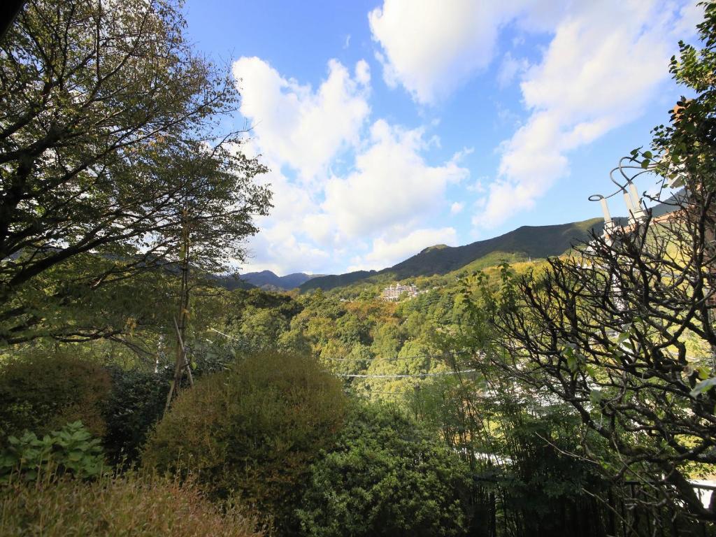ゆがわら大野屋旅館 湯河原町 21年 最新料金 ゆがわら大野屋旅館 湯河原町 21年 最新料金