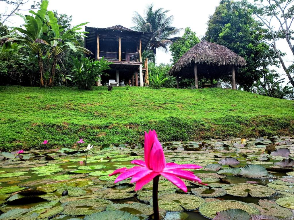 Gallery image of Bluff Hidden Paradise in Bocas del Toro