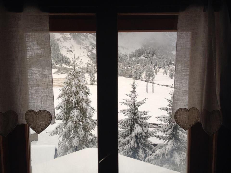 a window with a view of a snow covered forest at Il Pino B&B in Alpe Devero