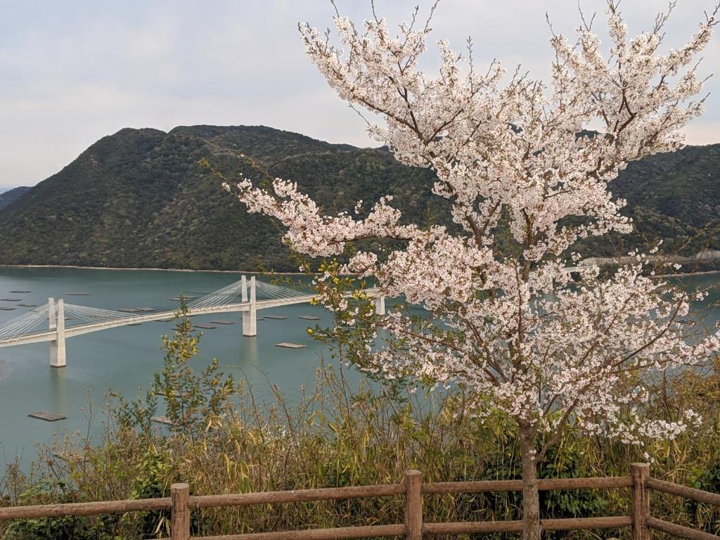 Fotografie z fotogalerie ubytování The English Clubゲストハウス v destinaci Hinase