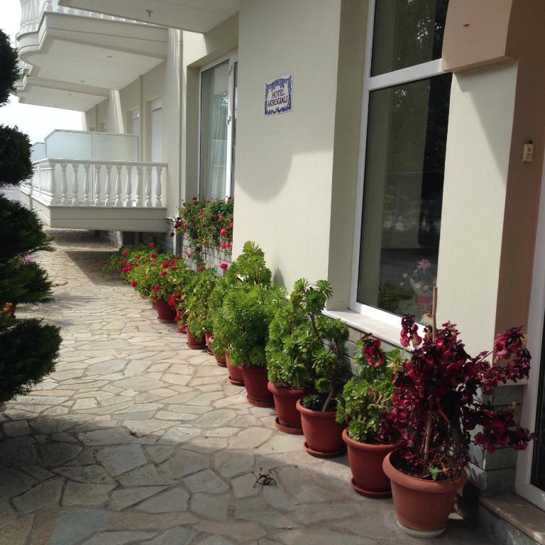 Zahrada ubytování Hotel Akrogiali