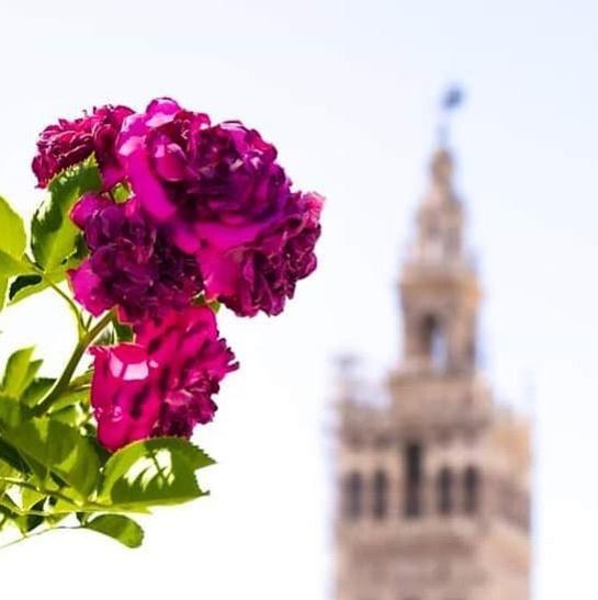 Hotel Boutique Casa de Colón - Resim 34