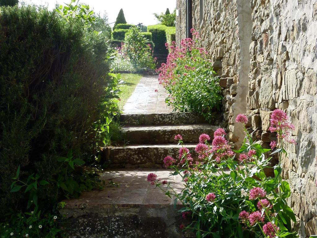 A garden outside Podere Campolungo
