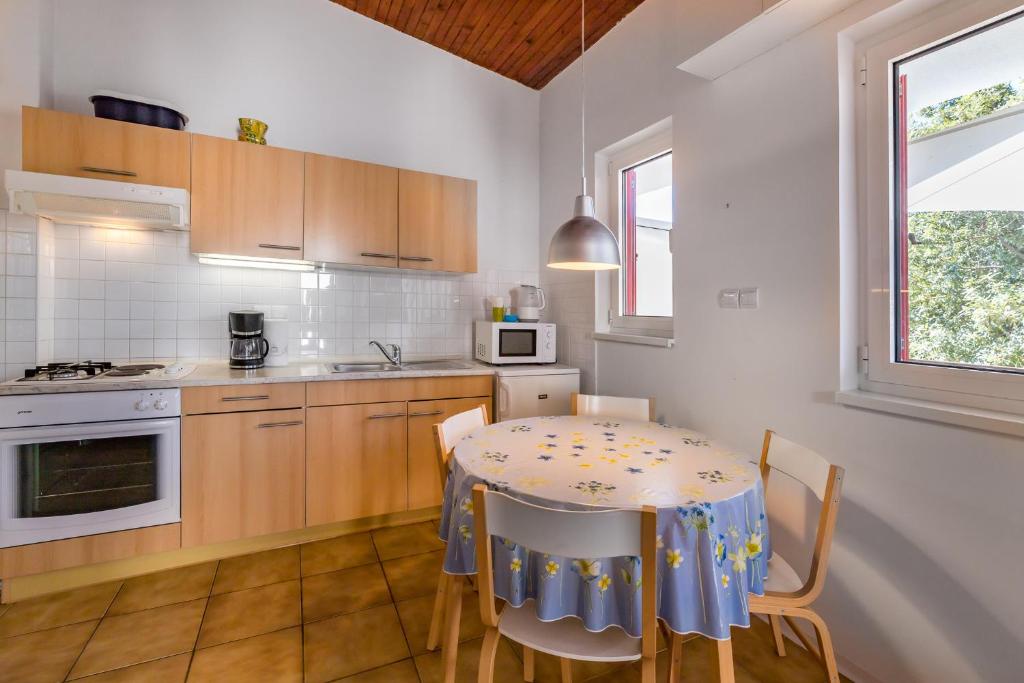 Kuchyňa alebo kuchynka v ubytovaní Apartment Alan