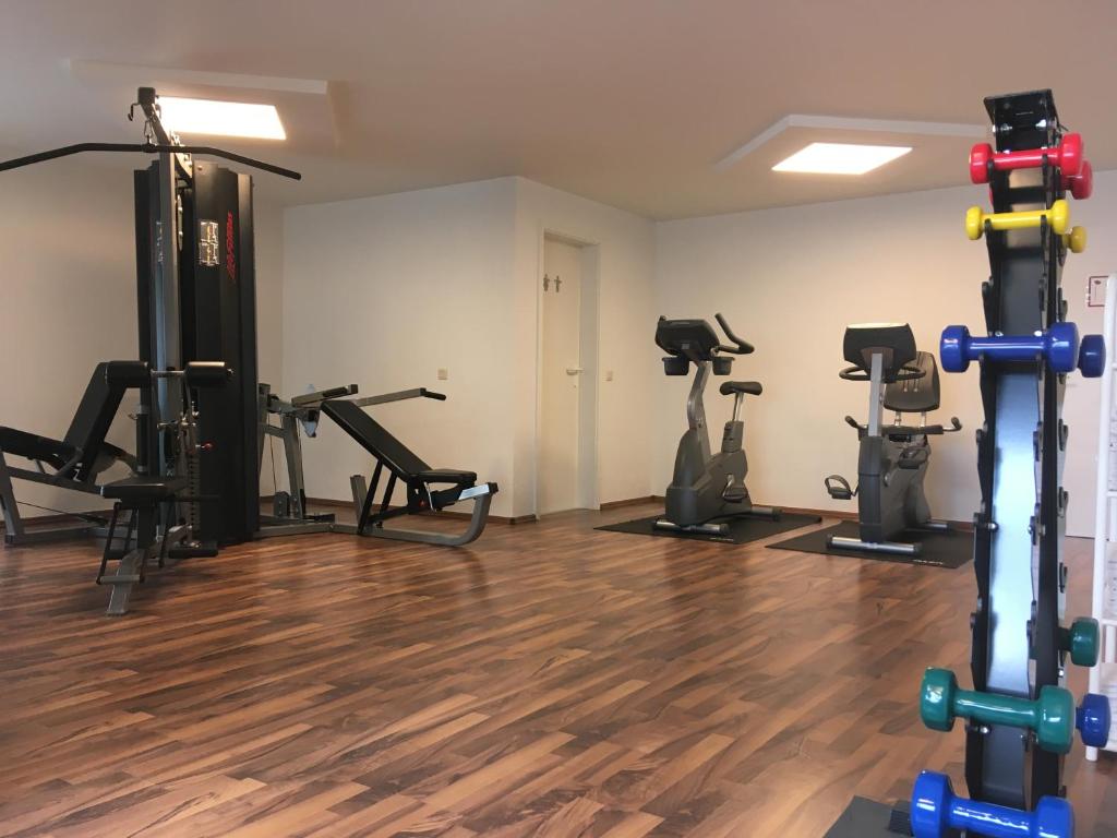 Fitness centrum a/nebo fitness zařízení v ubytování Gemünder Ferienpark Salzberg