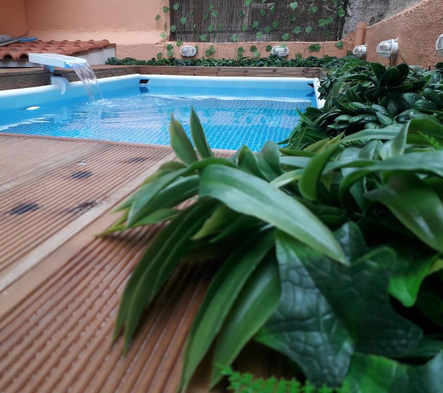 a swimming pool with a plant in front of it at ChrisAndro Apartments in Athens