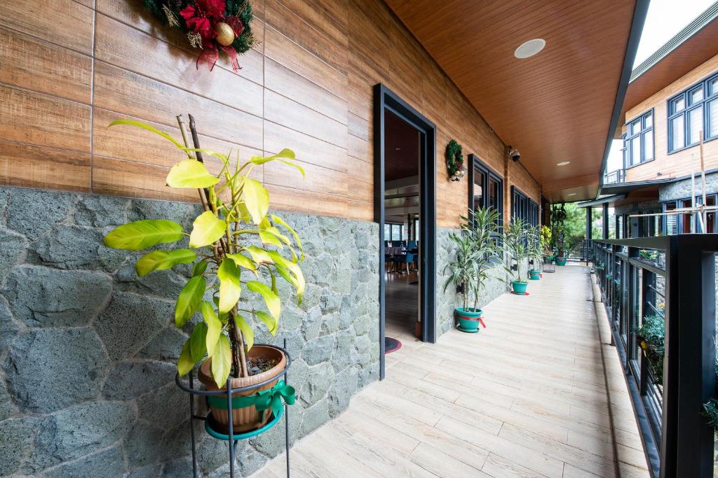 Fotografie z fotogalerie ubytování Sunset View Ridge Residences v destinaci Baguio
