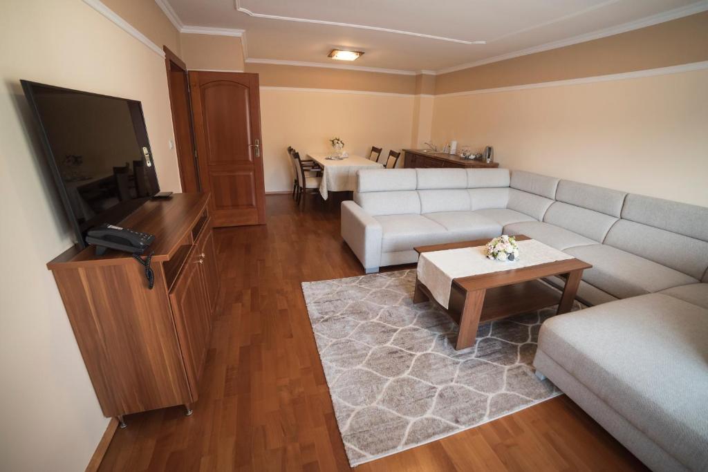 Televízia a/alebo spoločenská miestnosť v ubytovaní Hotel Alfa