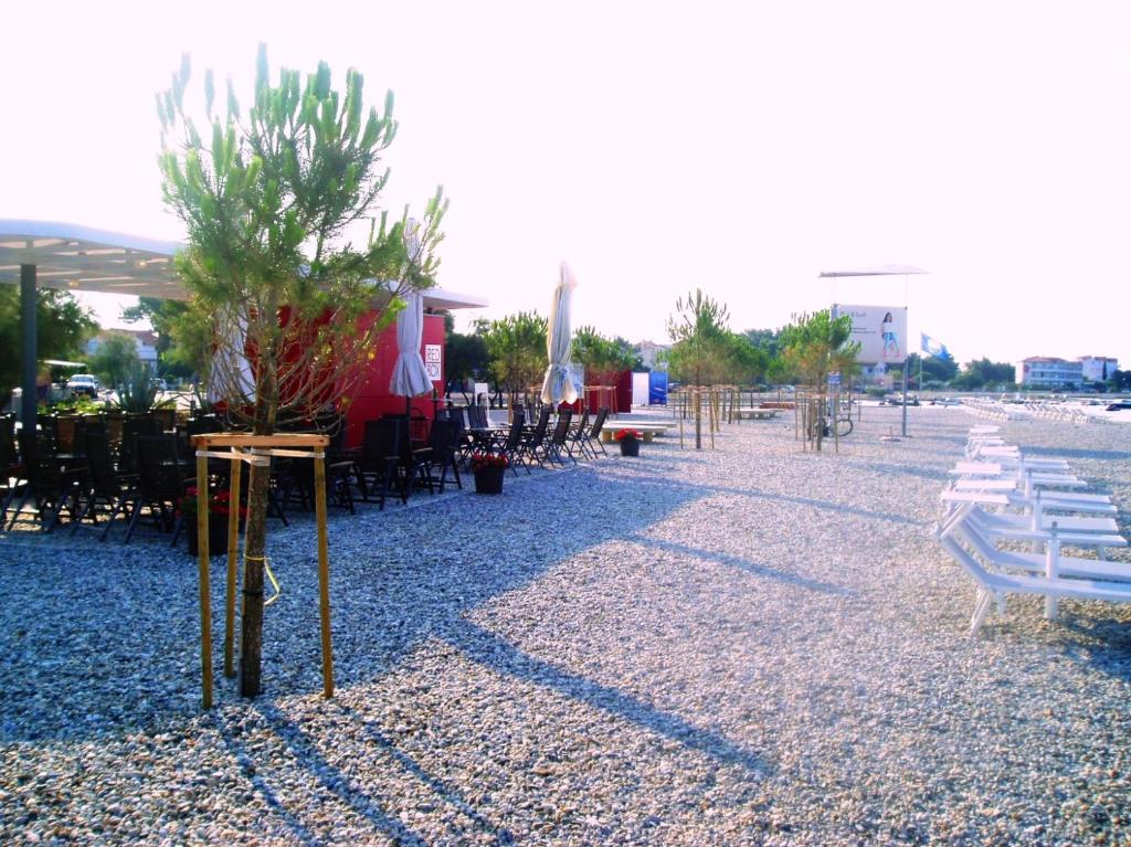 Fotografie z fotogalerie ubytování ZSA ZSA HOLIDAY HOME v destinaci Srima