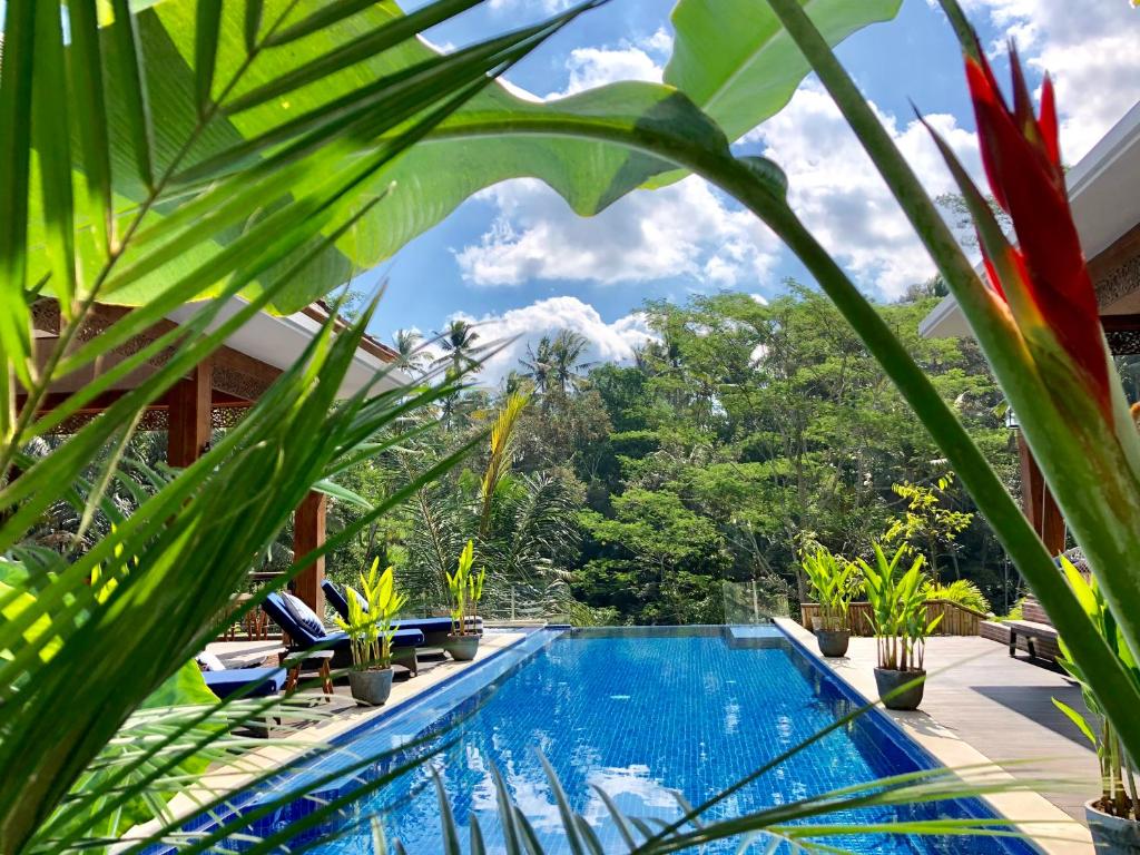 Swimming pool sa o malapit sa Puri Kasih Gottlieb