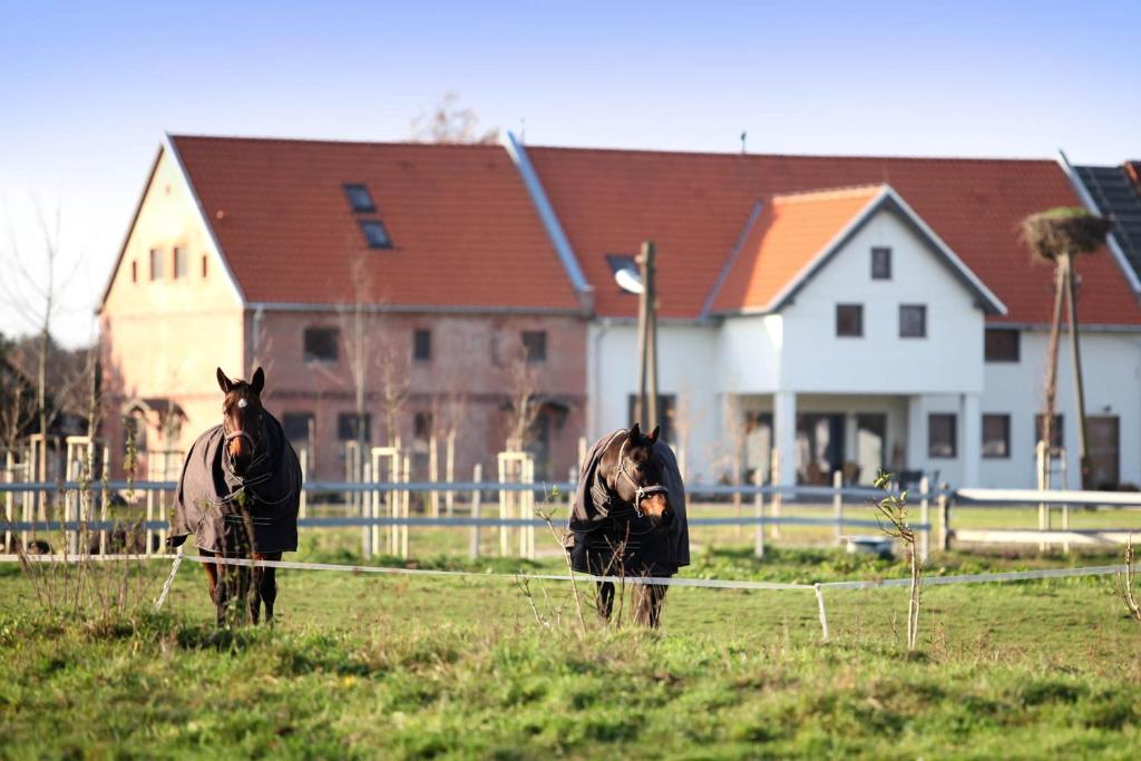 Goście zatrzymujący się w obiekcie Stajnia Lipnik Apartments