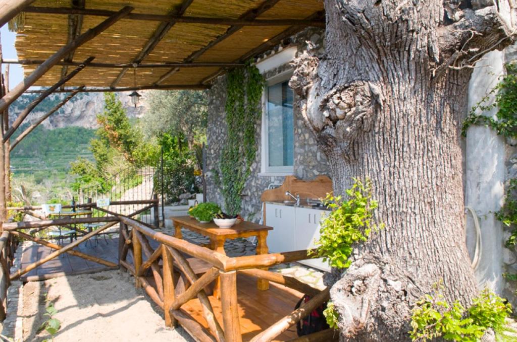 Zahrada ubytování Fattoria La Tagliata