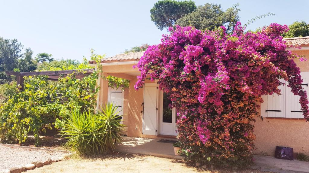 Ein Gebäude mit lila Blumen drauf. in der Unterkunft Villa Les hauts de Benista in Porticcio
