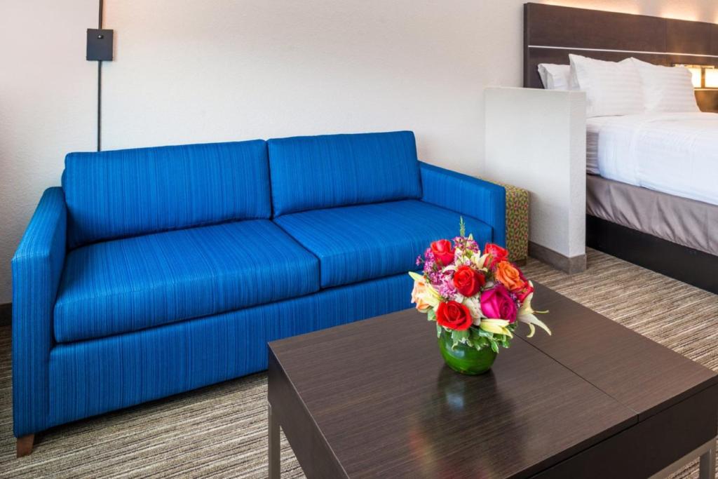 Holiday Inn Express & Suites - Tampa North - Wesley Chapel, an IHG Hotel - Rey Suite