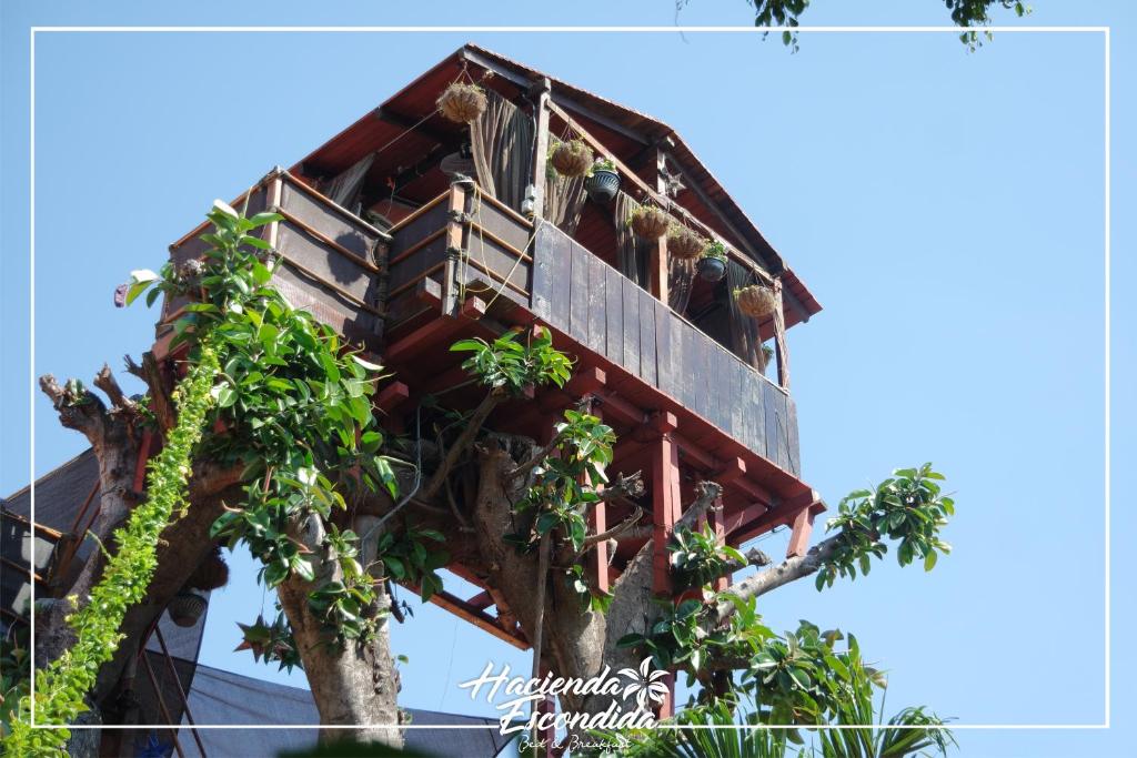 Hacienda Escondida Puerto Vallarta